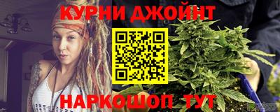 амф Тула