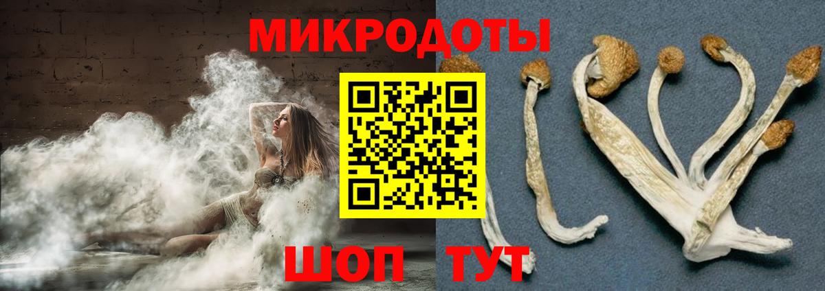 Галлюциногенные грибы Cubensis  Вход с VPN  Валуйки  Псилоцибиновые грибы мухоморы 